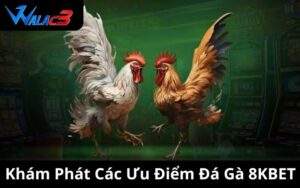 Khám Phát Các Ưu Điểm Đá Gà 8KBET